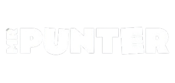 Mrpunter Casino logo